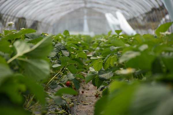 春天去婺源5天自驾游攻略,追随春的脚步