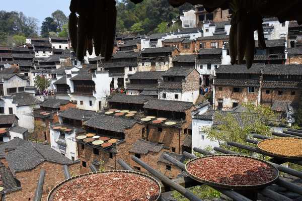 春天去婺源5天自驾游攻略,追随春的脚步