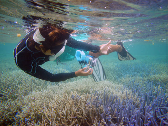 别去马代了，让我们到帕劳看看（帕劳旅游攻略）