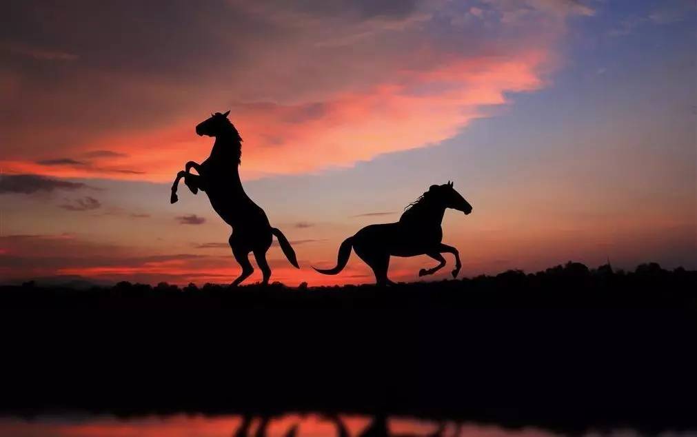 既是对手亦是队友案例,既是对手又是朋友事例