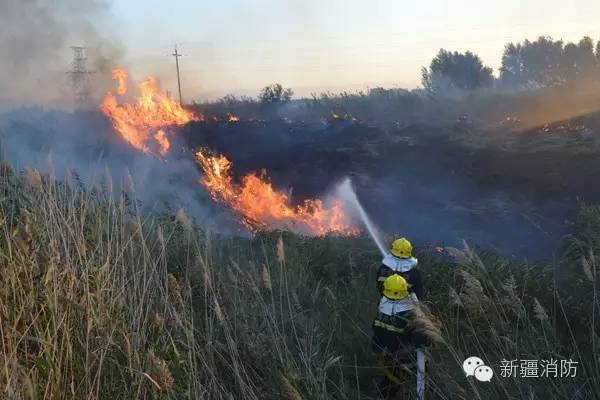 野外着火归哪个部门管,野外着火怎么最快灭