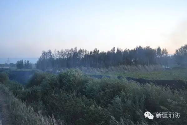 野外着火归哪个部门管,野外着火怎么最快灭