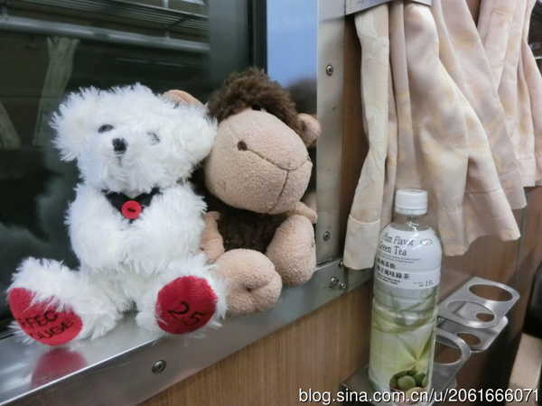 6月台湾毕业记~雨季也有好心晴