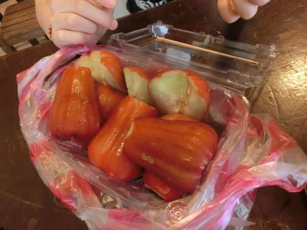 6月台湾毕业记~雨季也有好心晴