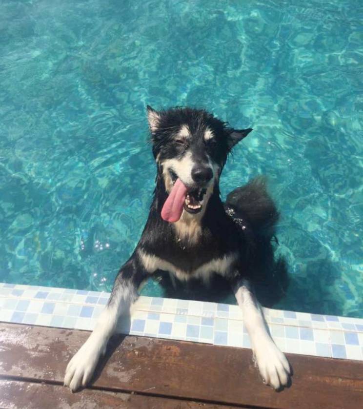 春夏秋冬都可以游的泳池,玩美多