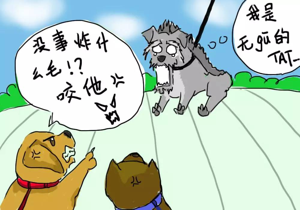 家里毛毛怎么彻底清除,家里毛毛比较多怎么才能拖干净