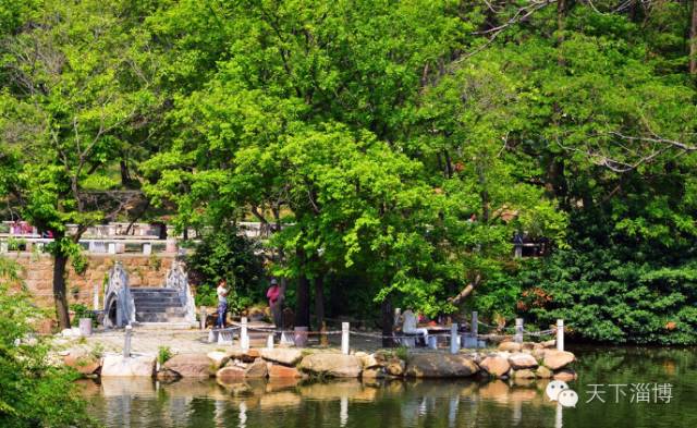 2022灞变笢鍚堟潙骞堕晣鍚嶅崟娣勫崥,2022灞变笢娣勫崥楂橀潚鍚堟潙骞堕晣鍚嶅崟