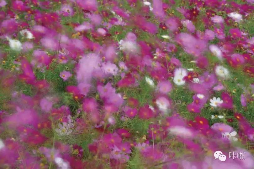 偏振镜滤镜教程,偏光镜滤镜的使用方法