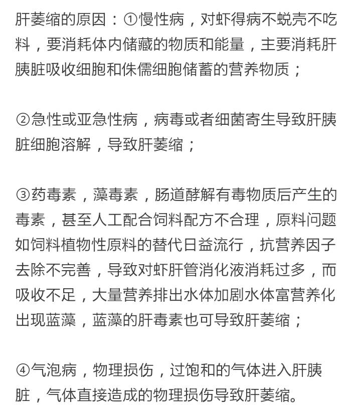 南美白对虾空肠空胃图,怎么判断南美白对虾空肠空胃