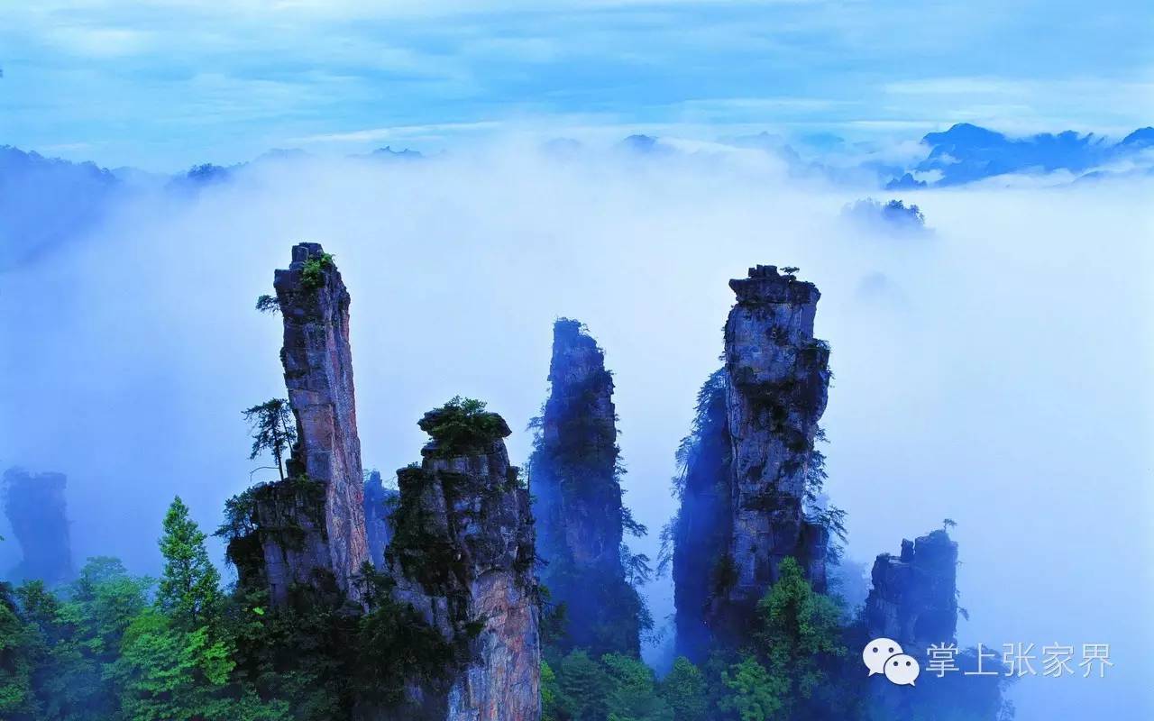 砸金蛋赢取好礼,砸金蛋赢白酒