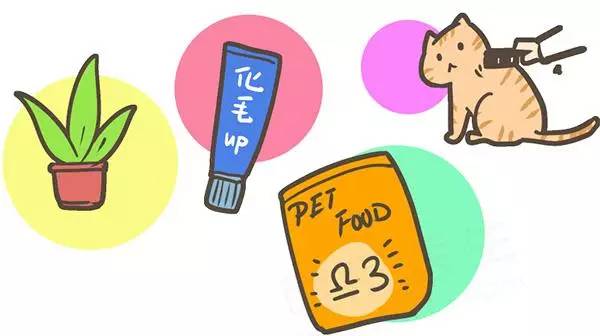 家里毛毛怎么彻底清除,家里毛毛比较多怎么才能拖干净