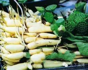 2022灞变笢鍚堟潙骞堕晣鍚嶅崟娣勫崥,2022灞变笢娣勫崥楂橀潚鍚堟潙骞堕晣鍚嶅崟