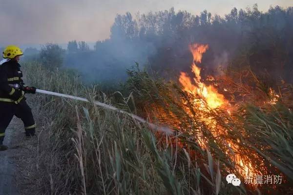 野外着火归哪个部门管,野外着火怎么最快灭