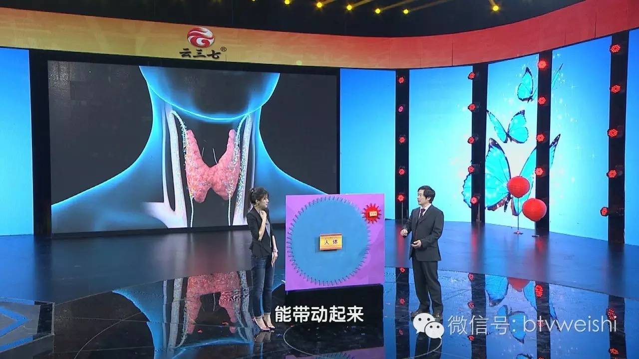 养生堂最新视频关于人的讲座,养生堂最新视频节目全集