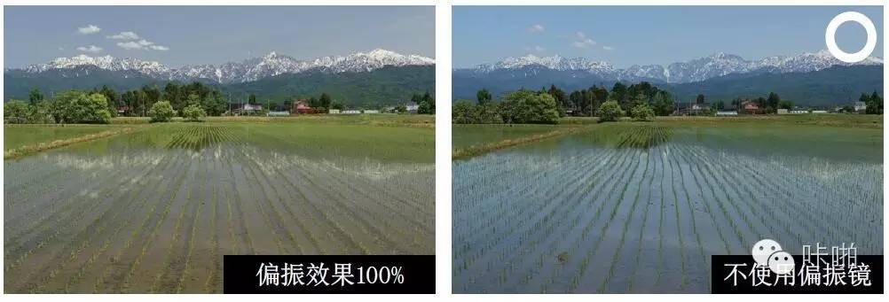 偏振镜滤镜教程,偏光镜滤镜的使用方法