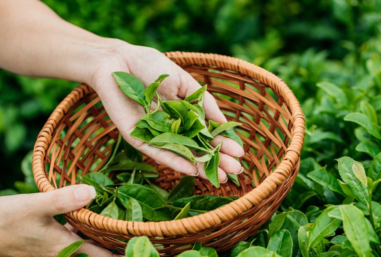 春夏秋冬都可以游的泳池,玩美多