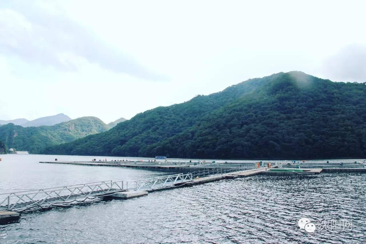 离沈阳45公里，竟隐藏着一种绝世美味！秒杀河豚大闸蟹！外地人都吃疯了，沈阳人还不知道！