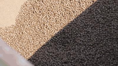 离沈阳45公里，竟隐藏着一种绝世美味！秒杀河豚大闸蟹！外地人都吃疯了，沈阳人还不知道！