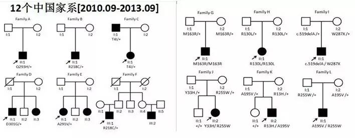 CCOS2016眼底陈有信教授：Best病及基因型与表现型研究