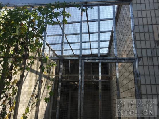 湘潭一小区被菜地包围臭气熏天,小区楼上住户养鸽子合法吗