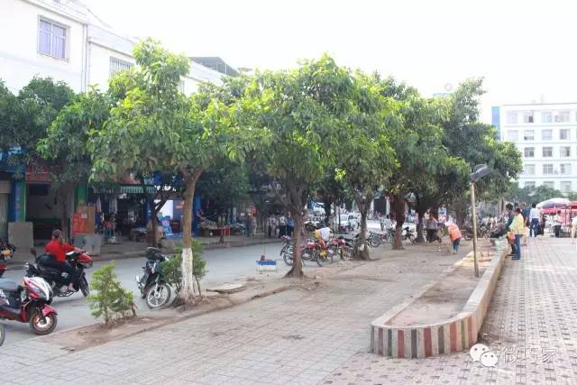 巧家县城市改造,巧家旧貌