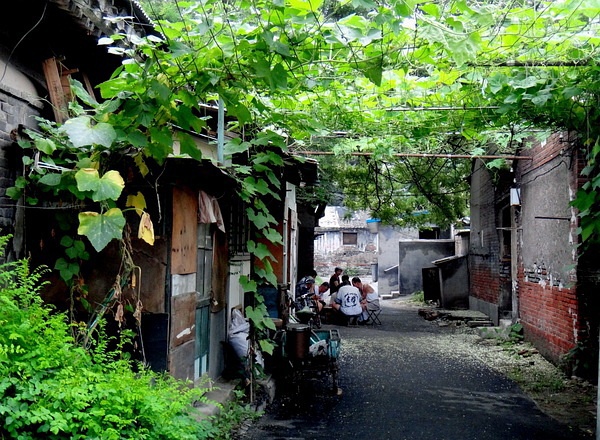 豆瓣相册列表,豆瓣相册上传高清图