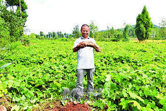 扶贫站让村民脱贫致富有奔头