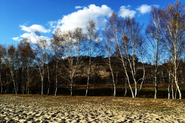 说走就走沙漠,说走就走张家口
