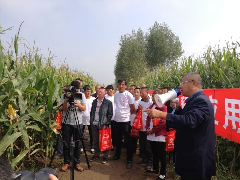 动态|每公顷少施225公斤还能增产，红四方控失肥唱响“减肥增效”示范曲