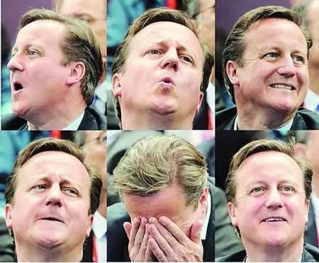 卡梅伦的“退休”生活:逛吃、逛吃、逛吃