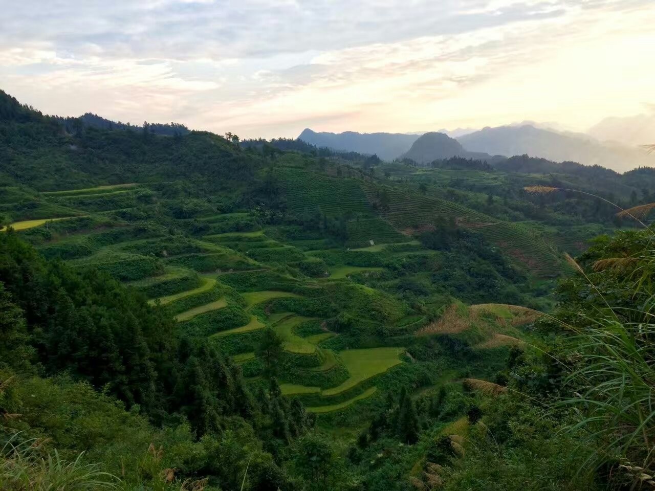 活法｜最好的*眠药安**，就是伸手不见五指