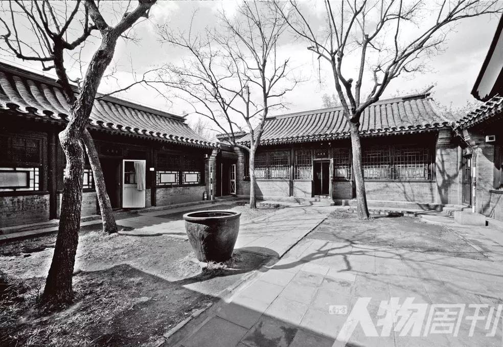 风中作者知乎,风中柳图片