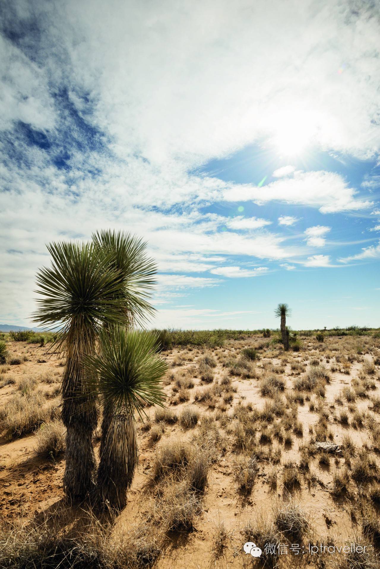 星球坐标｜新墨西哥州：“外星人的栖身之所”探秘之旅