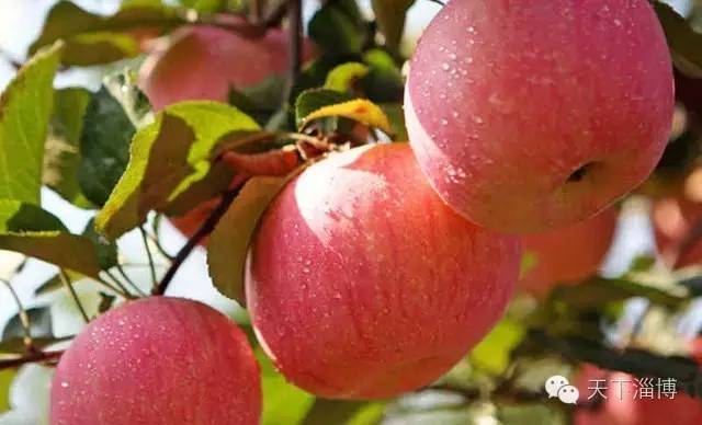 2022灞变笢鍚堟潙骞堕晣鍚嶅崟娣勫崥,2022灞变笢娣勫崥楂橀潚鍚堟潙骞堕晣鍚嶅崟