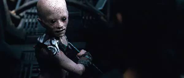 和女/男朋友独处的时候应该看点儿什么片儿？