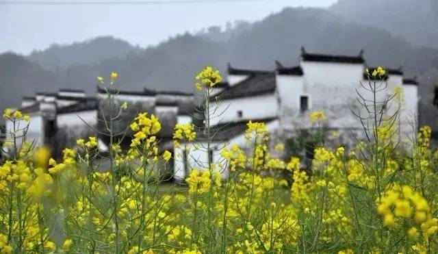 银川出发1-七天短途自驾旅游推荐,银川出发5天自驾攻略
