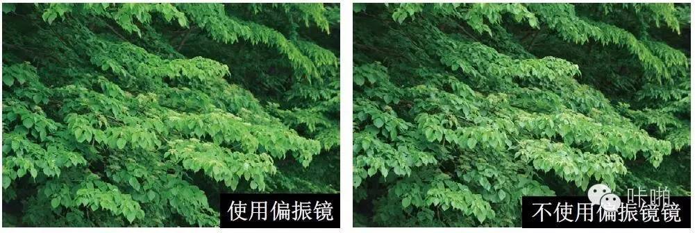 偏振镜滤镜教程,偏光镜滤镜的使用方法