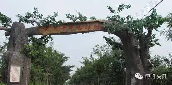 26个英文字母,带你绕着博野走一圈!