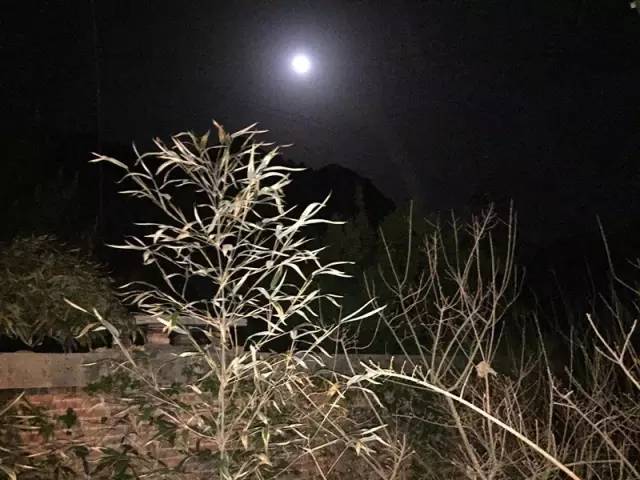 中国最后的神秘村,中国几大隐士隐居地方