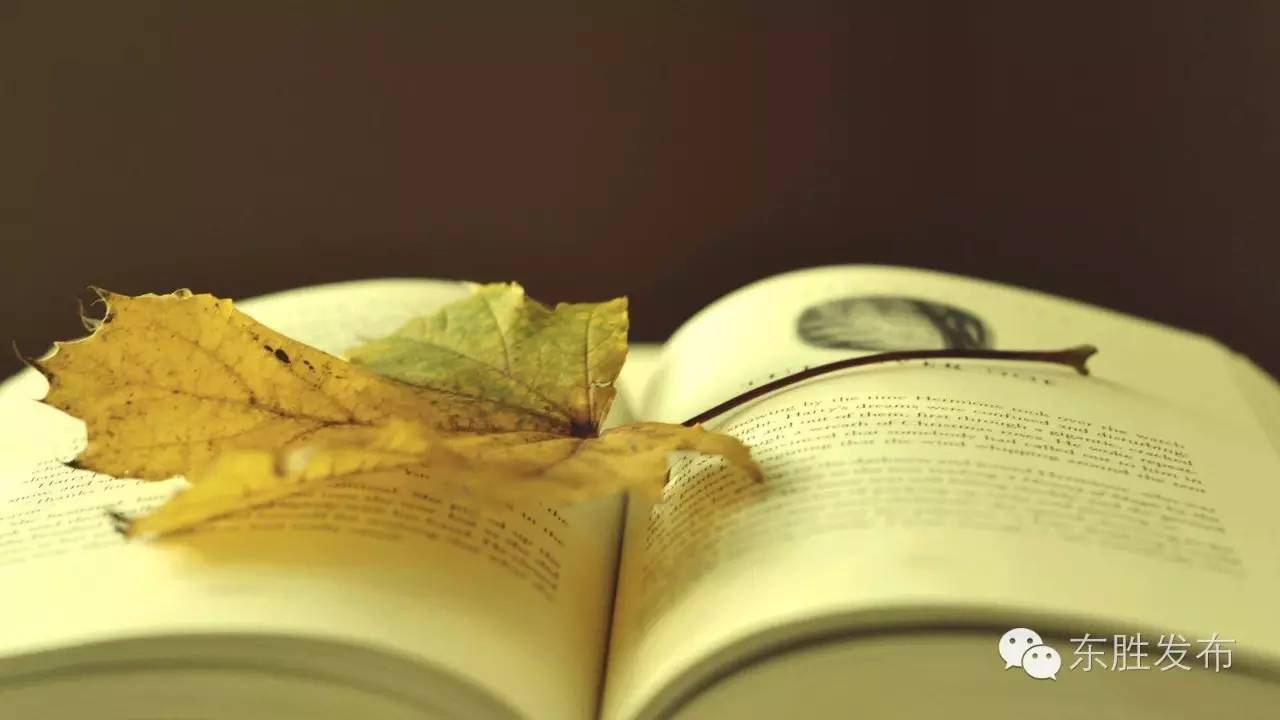 这么多东胜人会写书评，也许你会从中发现又一个“可好女女”