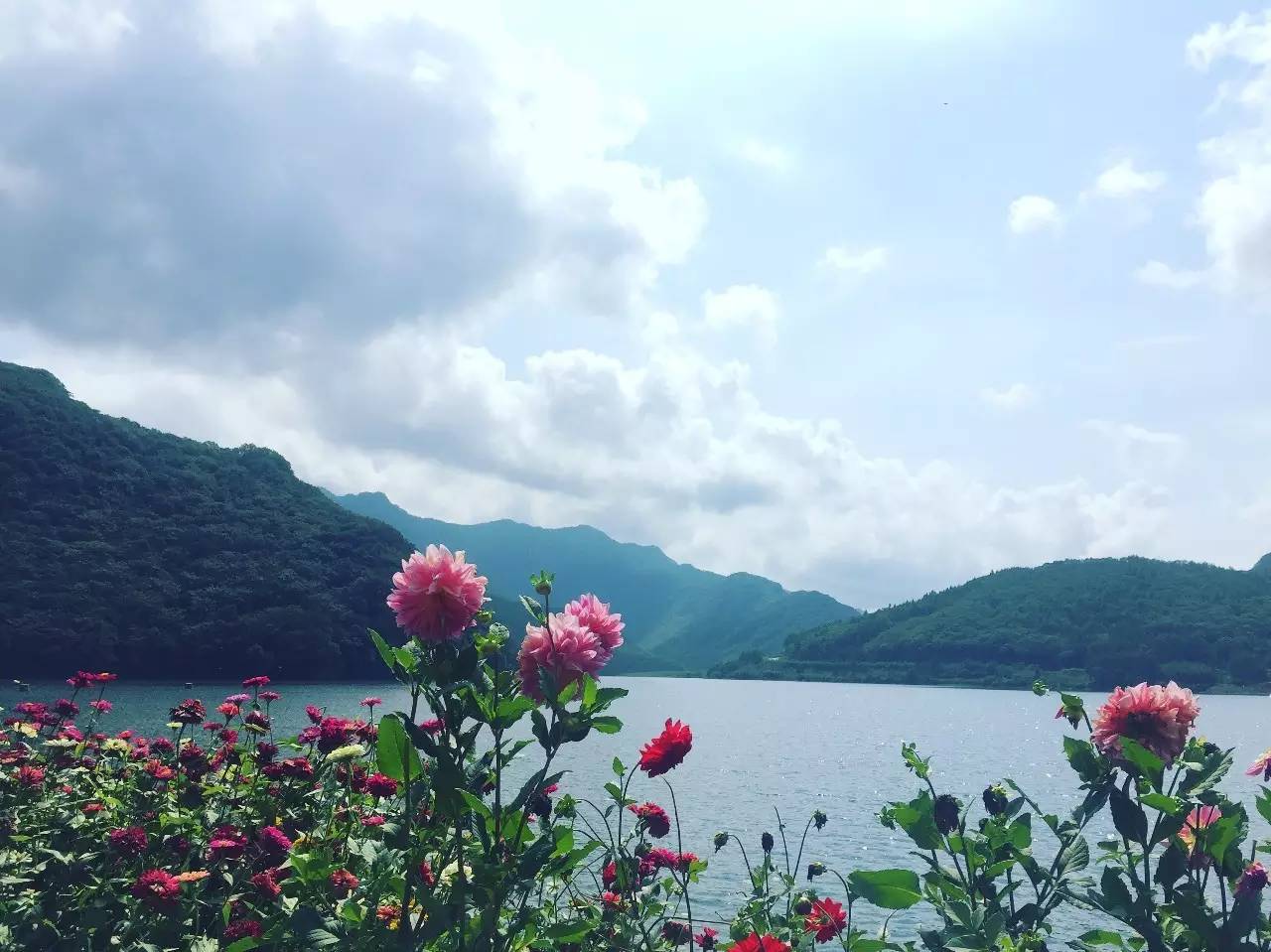 离沈阳45公里，竟隐藏着一种绝世美味！秒杀河豚大闸蟹！外地人都吃疯了，沈阳人还不知道！