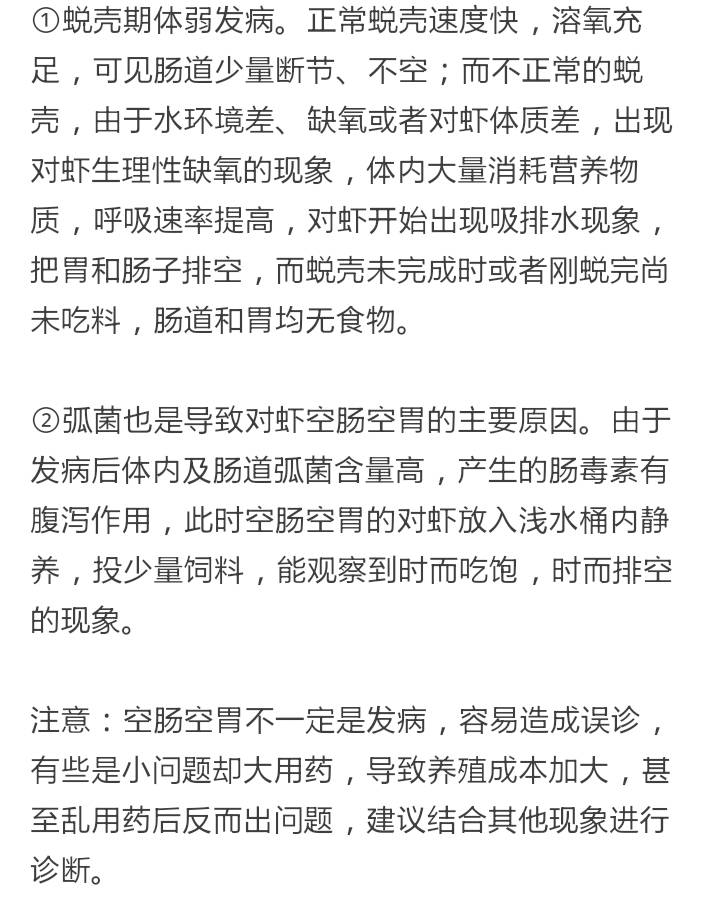 南美白对虾空肠空胃图,怎么判断南美白对虾空肠空胃