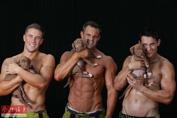 消防员和狗狗可爱瞬间,反差萌消防员