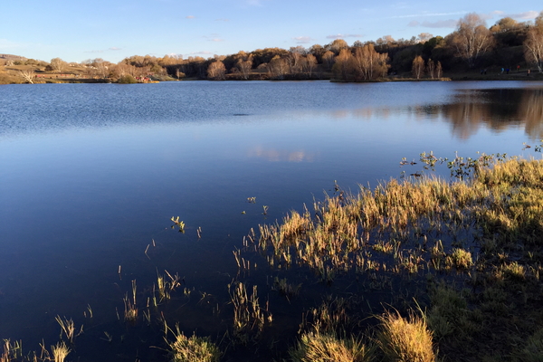 说走就走沙漠,说走就走张家口