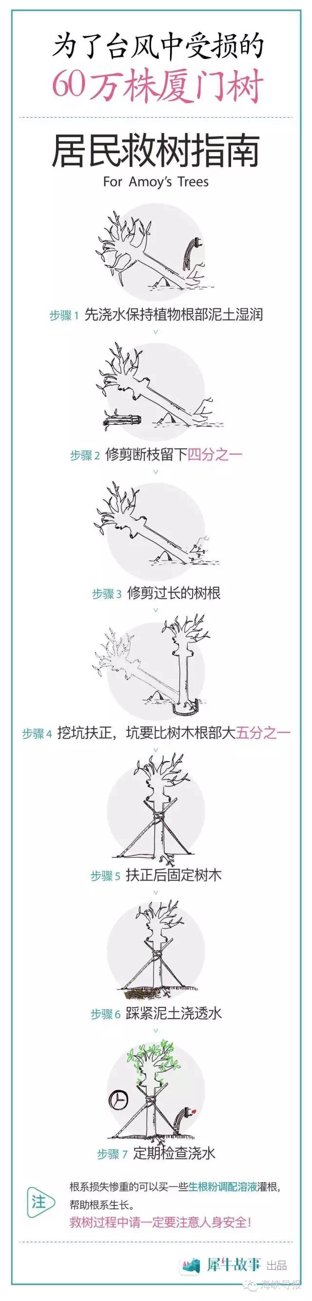 美爆了!台风过后,那些残根断枝竟然这么有用!赶紧学起来...