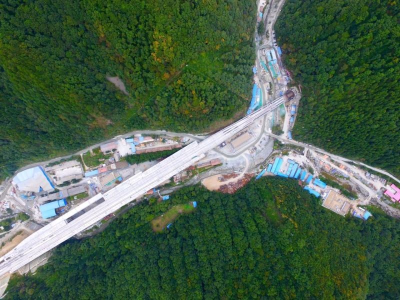 郑徐高铁刚通车!从现在起,咱西安人民还可以憧憬未来的周末成都两日慢生活啦!