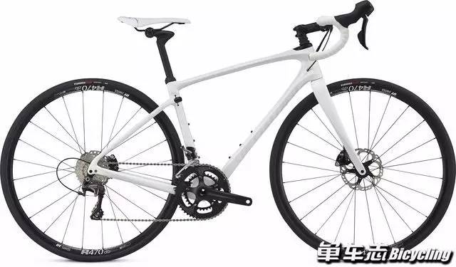 specialized公路车最快速度,specialized新公路车