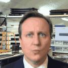 卡梅伦的“退休”生活:逛吃、逛吃、逛吃