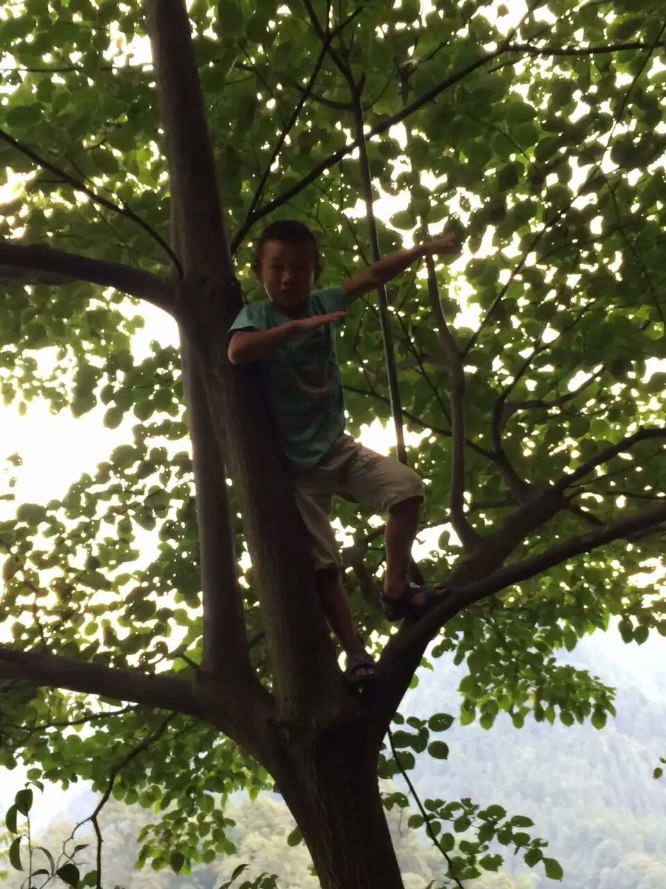 活法｜最好的*眠药安**，就是伸手不见五指