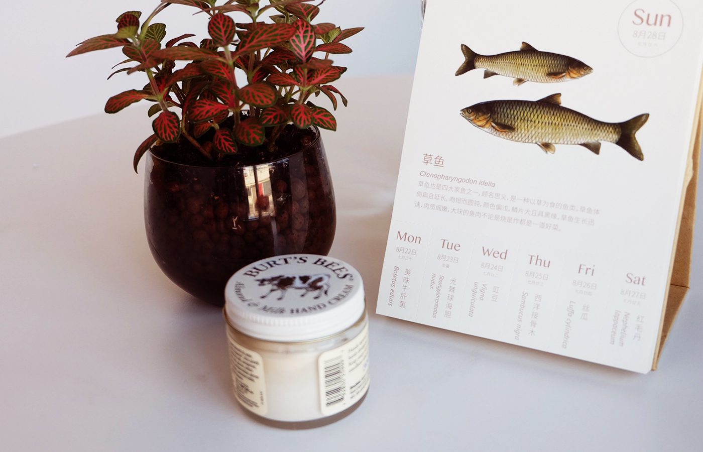 清爽不油腻的冬日护手霜,保湿又不油腻的护手霜